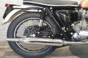 TRIUMPH BONNEVILLE T100