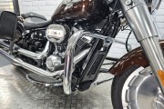 HARLEY-DAVIDSON SOFTAIL