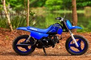 YAMAHA PW50