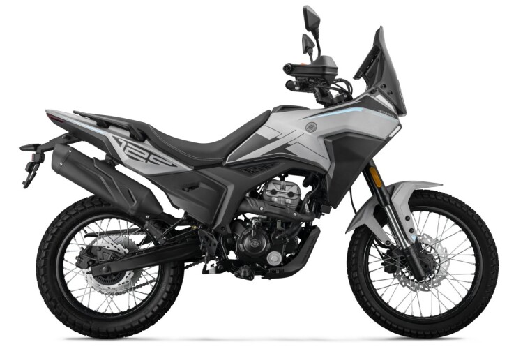 MORBIDELLI T125X for sale