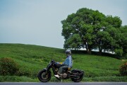 BENDA MOTO NAPOLEONBOB 500 for sale BENDA MOTO NAPOLEONBOB 500