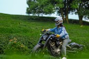 BENDA MOTO NAPOLEONBOB 500 for sale BENDA MOTO NAPOLEONBOB 500