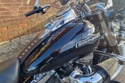 HARLEY-DAVIDSON SOFTAIL