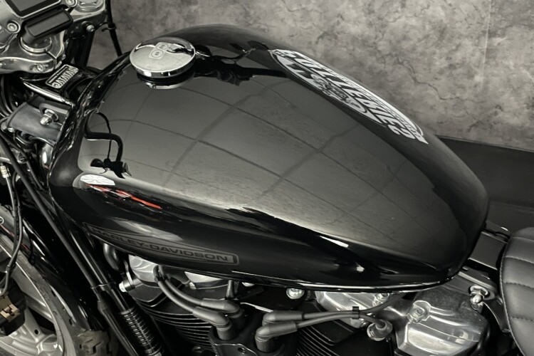 HARLEY-DAVIDSON SOFTAIL