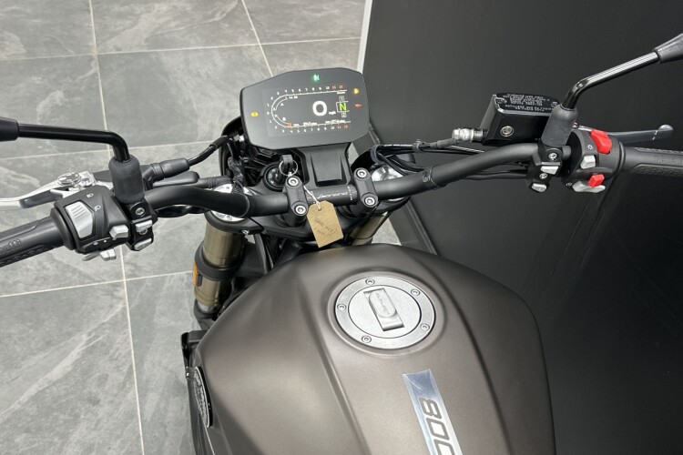 BENELLI LEONCINO 800