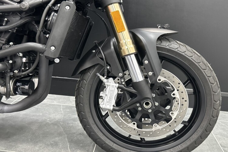 BENELLI LEONCINO 800