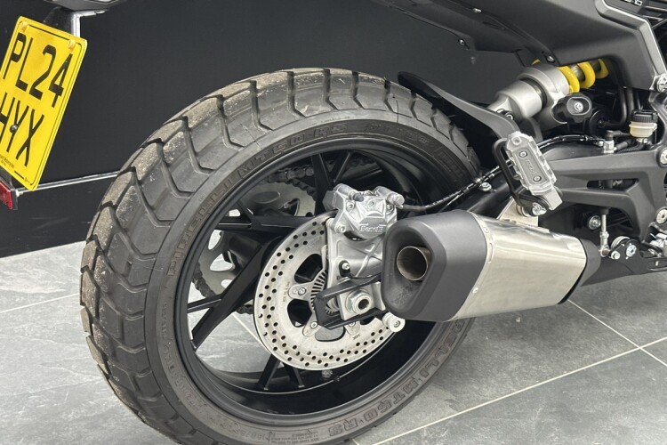 BENELLI LEONCINO 800