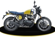 ROYAL ENFIELD BEAR 650
