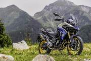 2026 VOGE DS 525X, Black Knight - photo 2