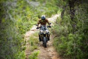 2026 VOGE DS 625X, Desert yellow - photo 3