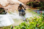 2026 VOGE DS 625X, Desert yellow - photo 4