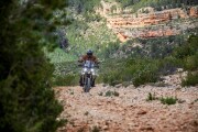 2026 VOGE DS 625X, Desert yellow - photo 5