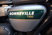 TRIUMPH BONNEVILLE T100