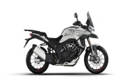 MORBIDELLI T1002V