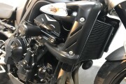 TRIUMPH STREET TRIPLE 675